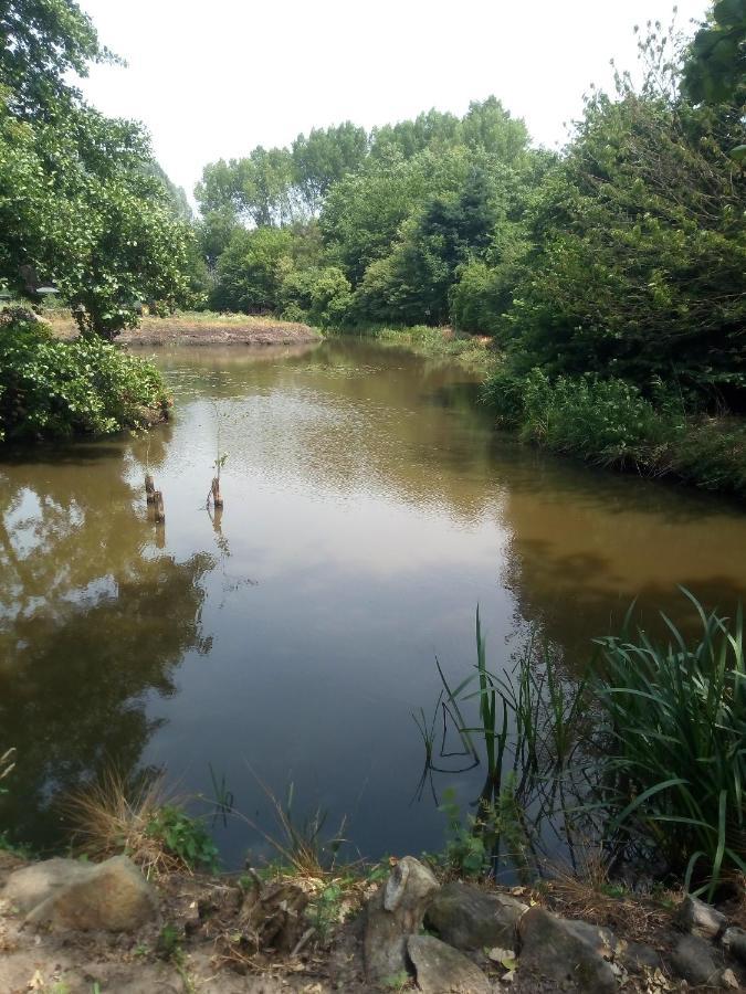 Evenrust, Gelegen Nabij Het Pieterpad Villa Coevorden Bagian luar foto
