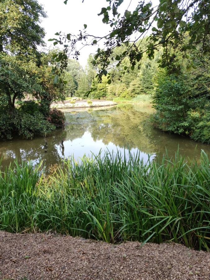 Evenrust, Gelegen Nabij Het Pieterpad Villa Coevorden Bagian luar foto